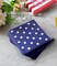 Disposable Napkins - Assorted Designs 3-ply Paper Napkins (4th of July)